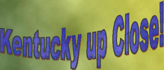 kentuckyupclose logo